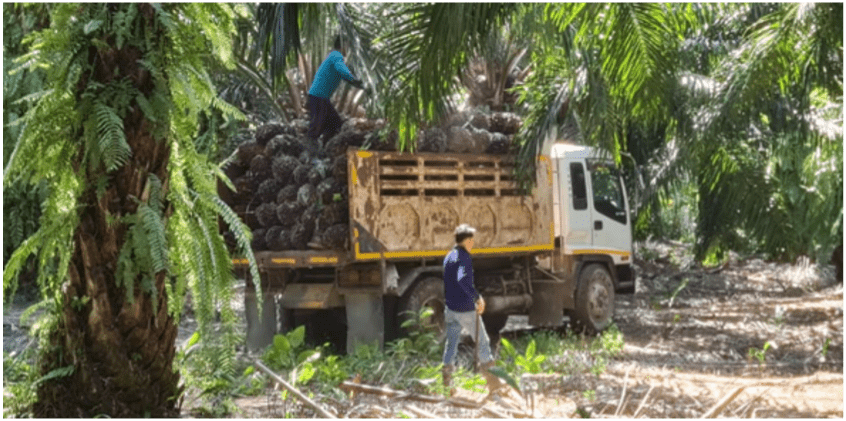 The next generation planters - data-driven oversight is evolving a family dynasty. - image - cultivate-agri - 10