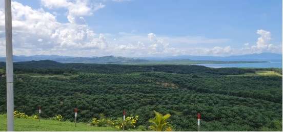 The next generation planters - data-driven oversight is evolving a family dynasty. - image - cultivate-agri - 14