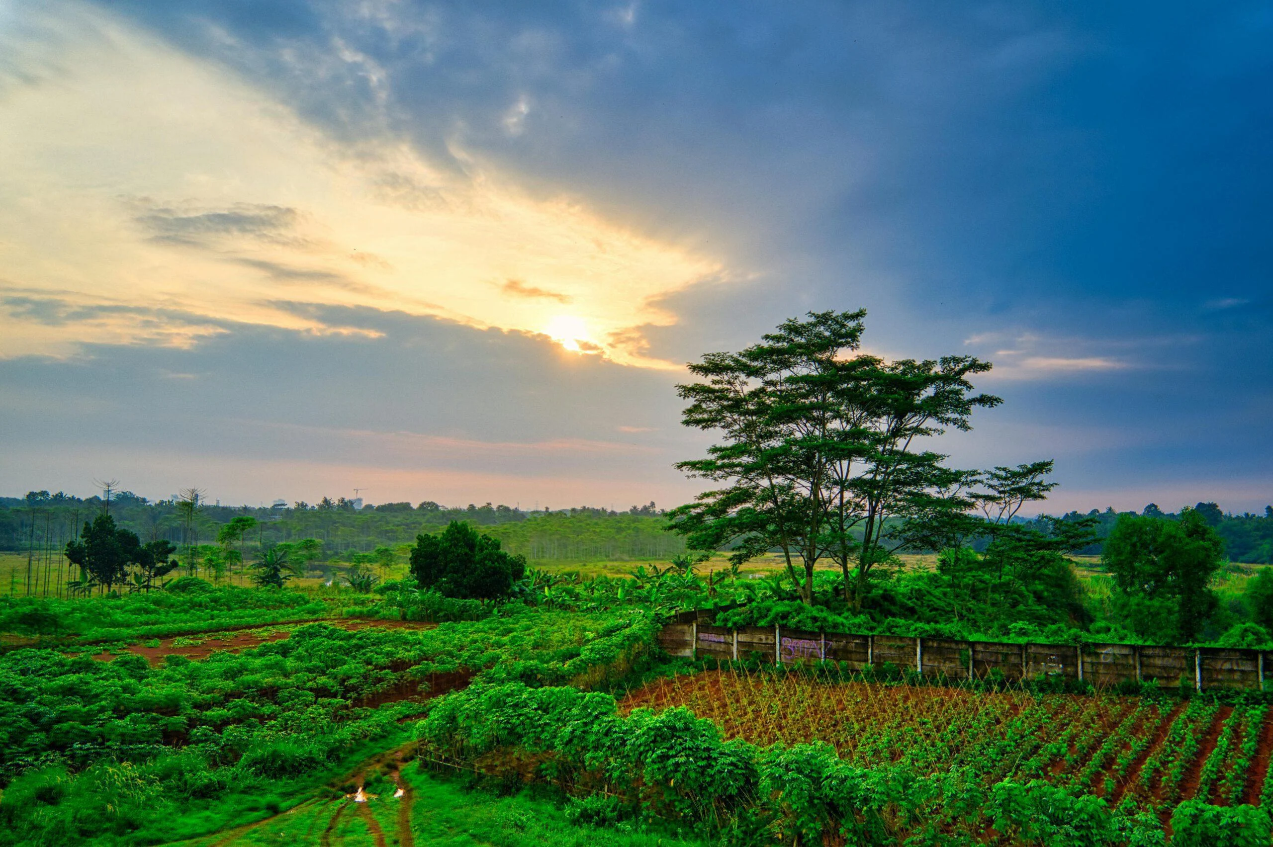 Key Performance Indicator (KPI) Monitoring - Cultivate-Agri